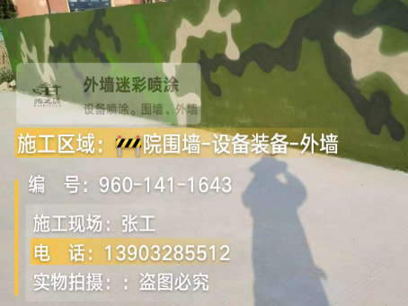 淮安 迷彩漆喷涂价格（按平方米计费）